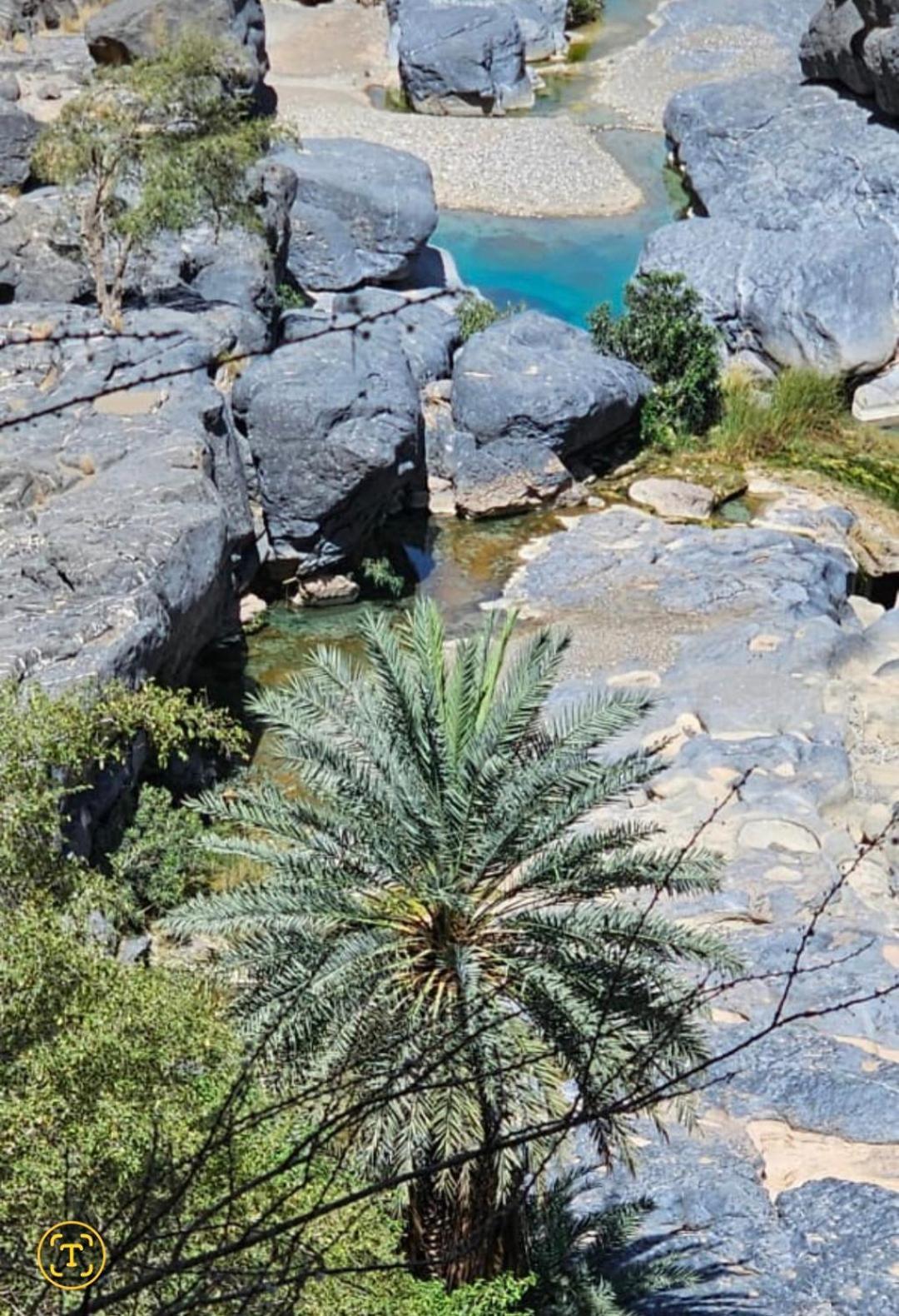 Villa Jabal Shams Bayt Kawakib à Misfāh Extérieur photo